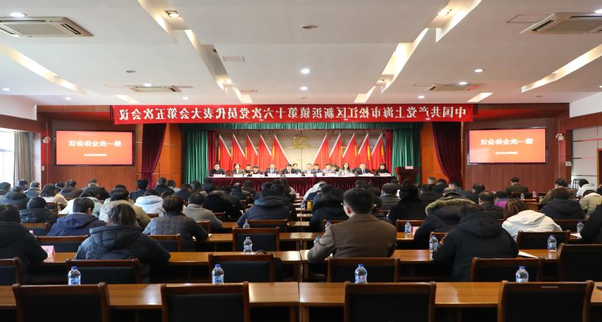 中共新浜鎮第十六次黨員代表大會第五次會議勝利召開